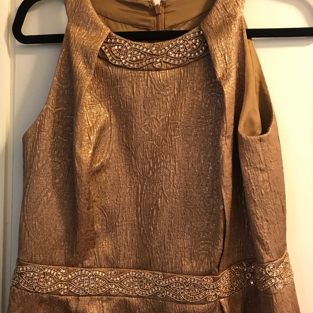 Carmen Marc Volvo Bronze Party Dress
